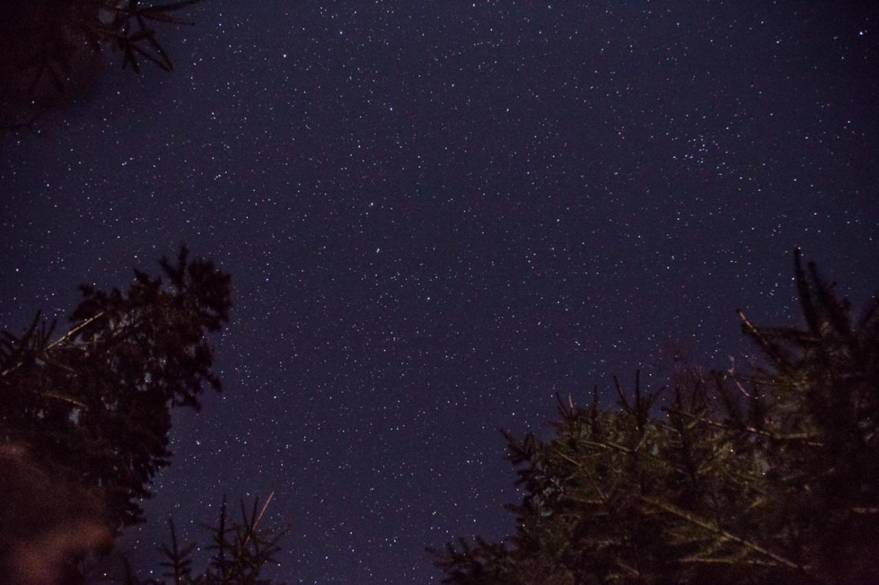 Konak 1400 Tara Mokra Gora Esterno foto