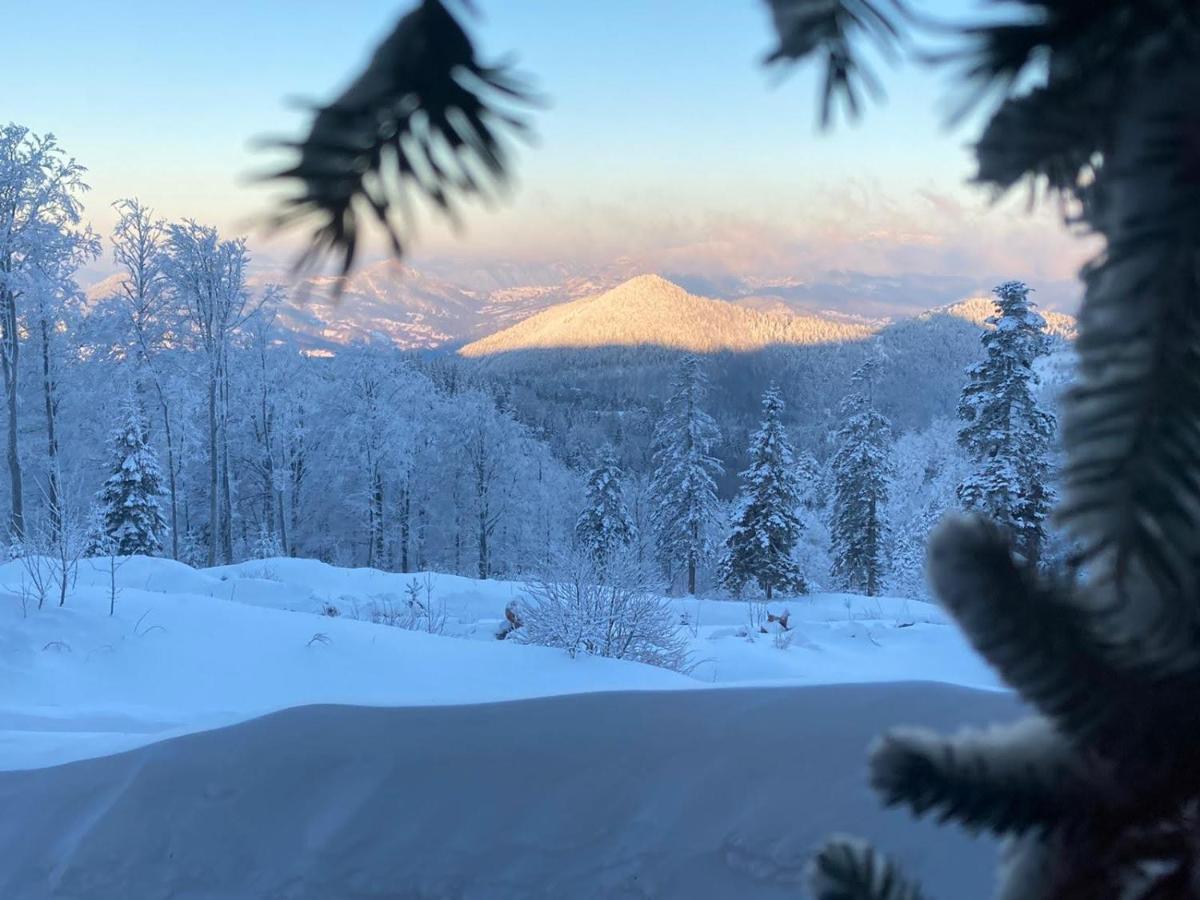 Konak 1400 Tara Mokra Gora Esterno foto